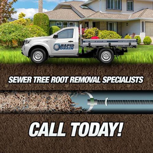 Sewer Tree Root Removal Specialists In Crestmead